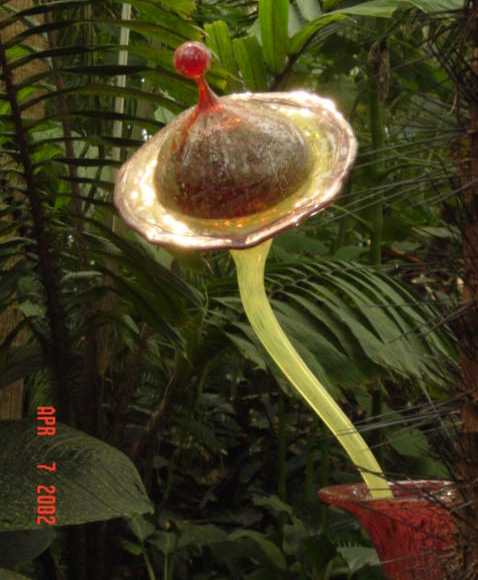 bulbflower2.jpg