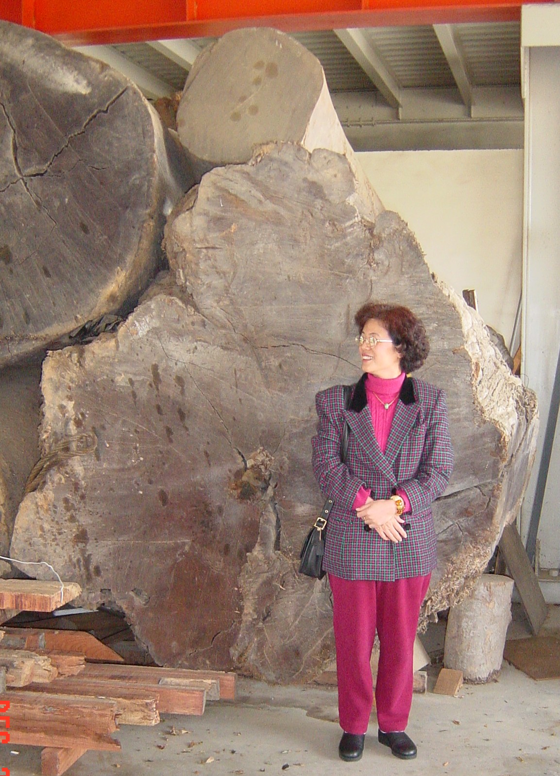 huge_log.jpg