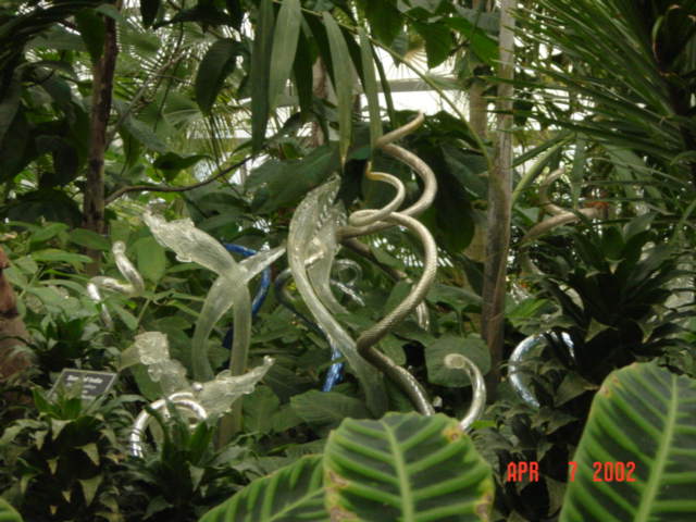 silverspirals1.jpg