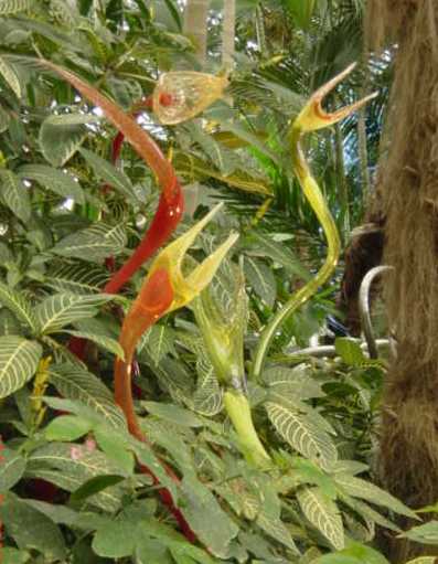 swanflowers1.jpg